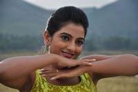 Shruthi Raj Photos